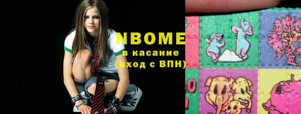 стаф Инта