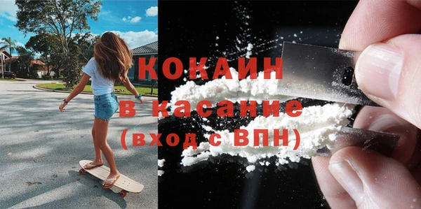 стаф Инта