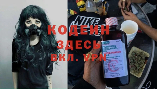 бошки Иннополис